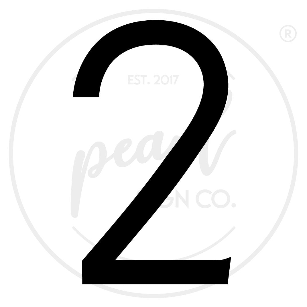 Steel Clean Modern House Numbers - Medium