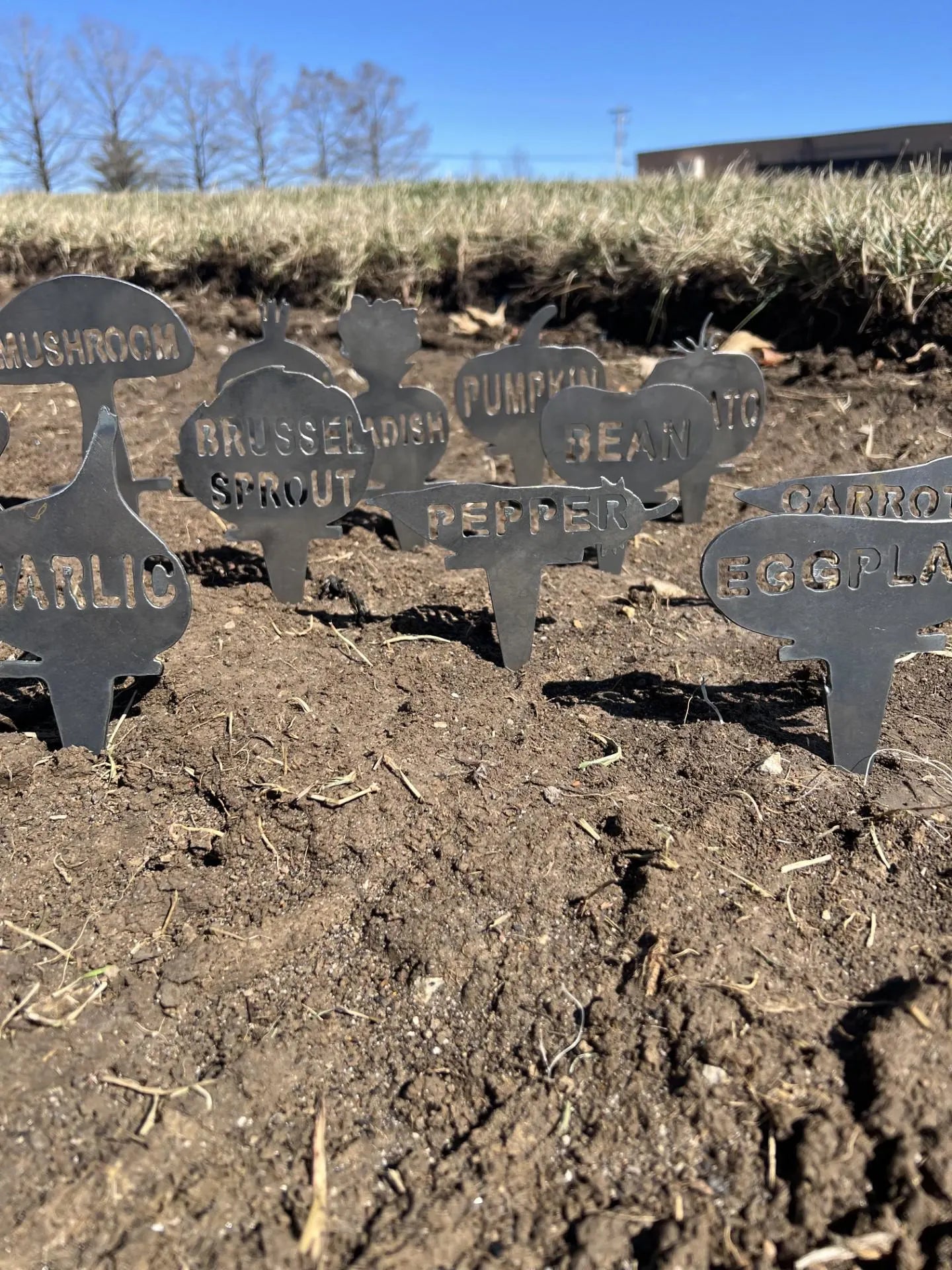 Metal Vegetable Garden Stakes