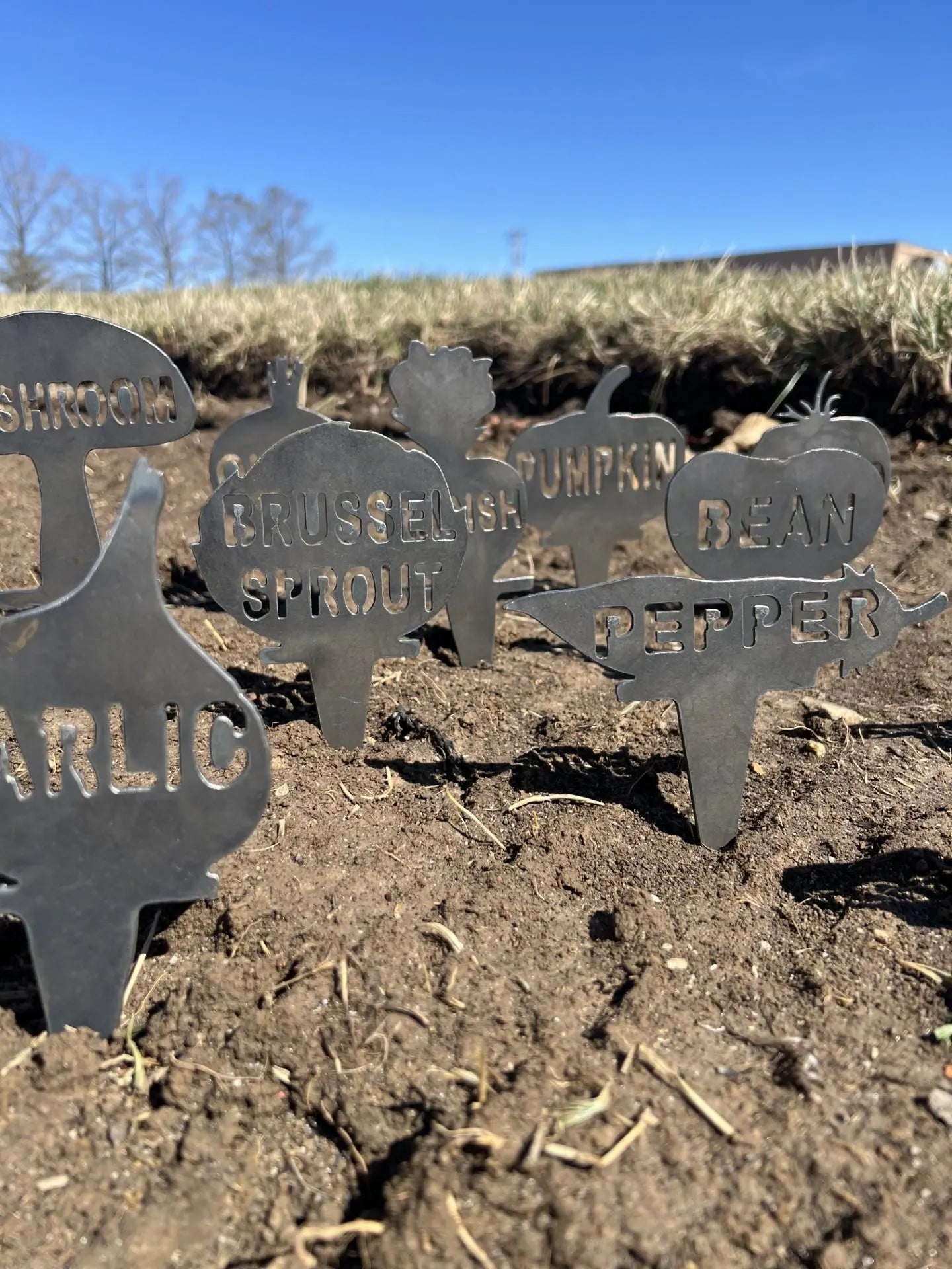 Metal Vegetable Garden Stakes