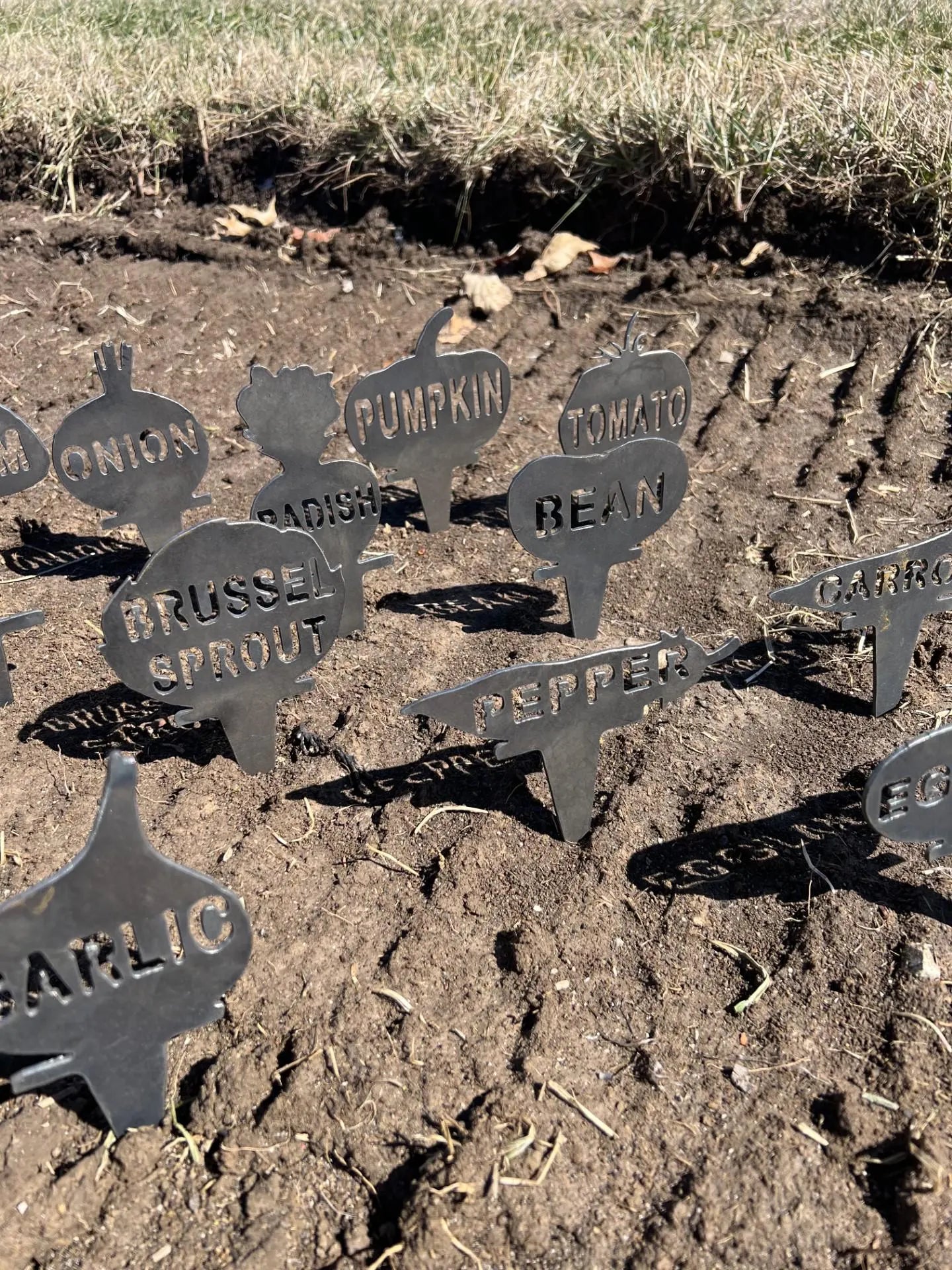 Metal Vegetable Garden Stakes